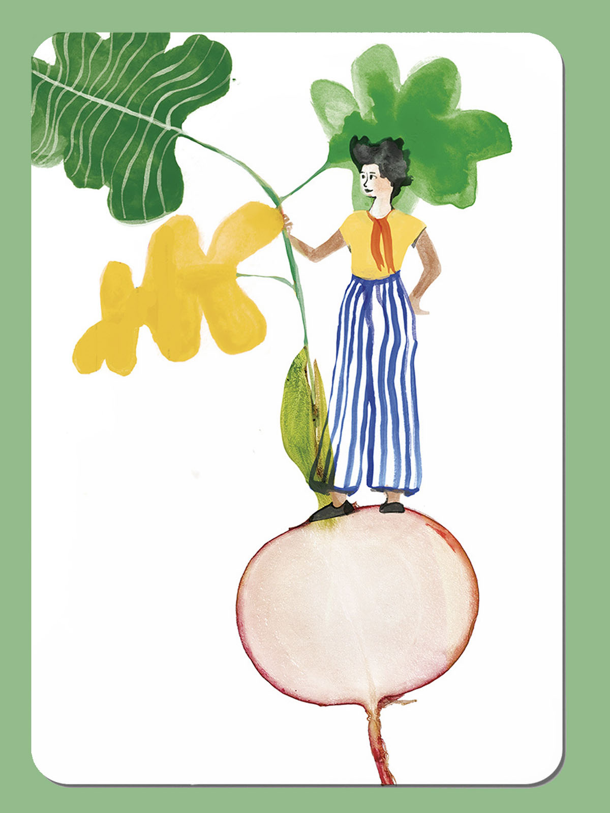 radish postcard